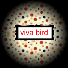 VIVA BIRD