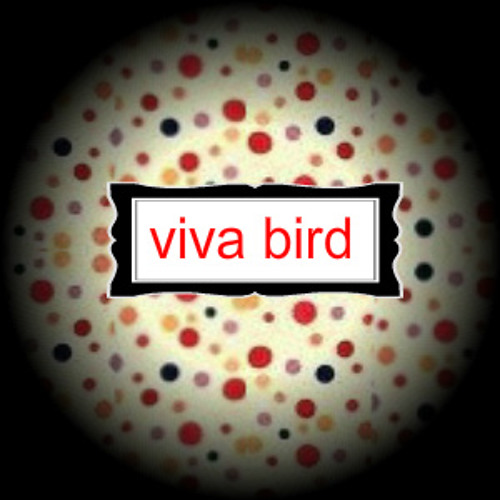 VIVA BIRD’s avatar