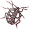 BrainBug Productions