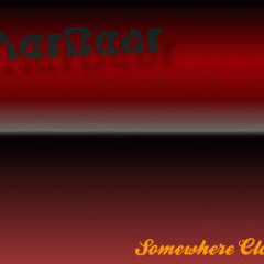 aerbear815