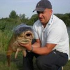 Nico Franciscus Colson