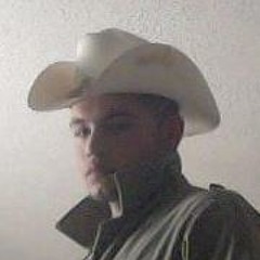 TE AMO -Los Principez de la musica norteña