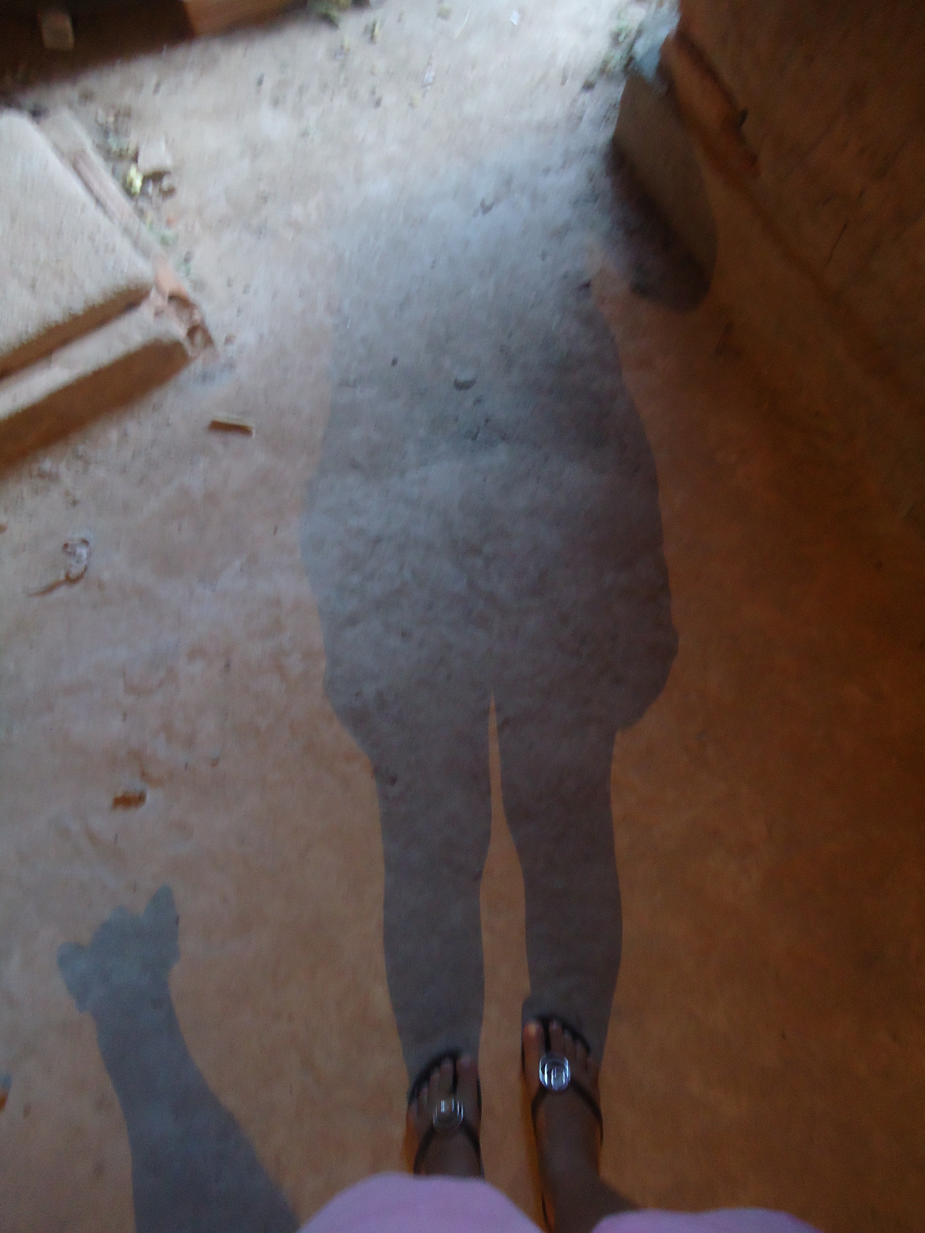 jaianesouza cover art