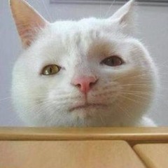 longcatunamused