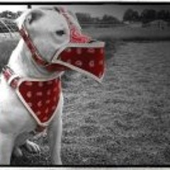 Alejandro Jean Loranger