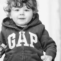 charlie the dog rocks