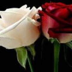 Alaa Mostafa 1