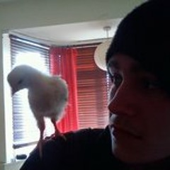 Charles Richard Litster