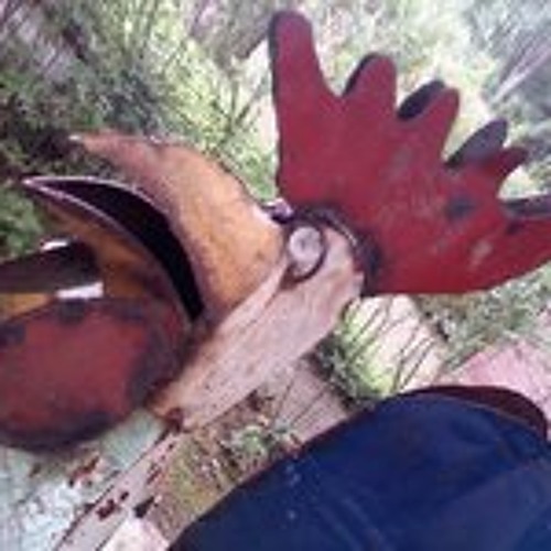 Cecil On Playing Solo