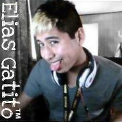 Elias Gatito Hernandez