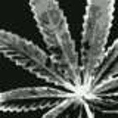 Gucci LovingLamica Epps