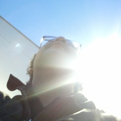 Prey The Foiled Mantis