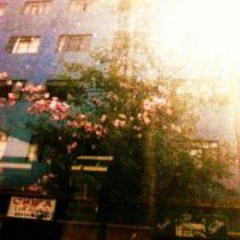 dans petite camargue 17