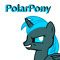 PolarPony