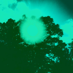 worriedliferecordings