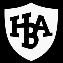HermanBroodAcademie