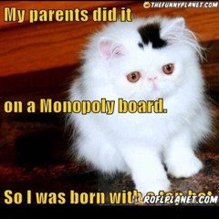 cant even have my name