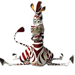 red-zebra