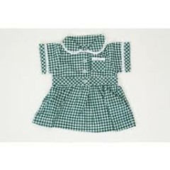 thetinydressincident