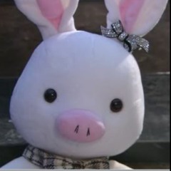 Bunny-Pig