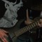 Opinicus