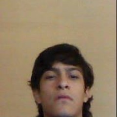 Reinhard Andres Gonzalez