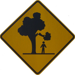 Limbs May Fall