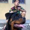 pollinho