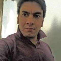 Amir Hesam Ijadi