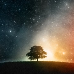 pnwtree