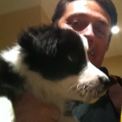 godoggygo