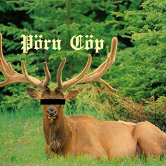PÖRN CÖP