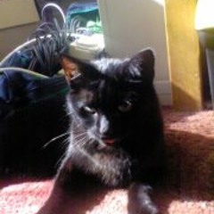 Bobby Christopher Jnr