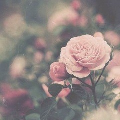 G h ά d є є г ♪²°