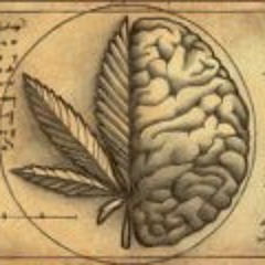 Jonathan Aranda Cayetanp