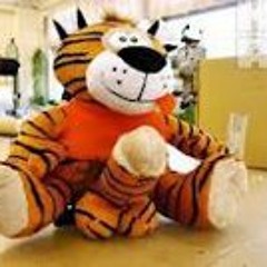 Jesse Go Gators Lavender