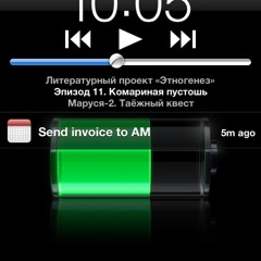 motya105