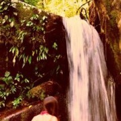 Tatiana Meirelles