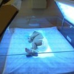 Aerius Laron Franklin