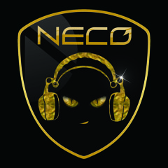 DJ.NeCo