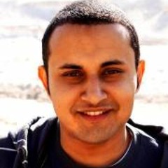 Belal N. Mahfouz