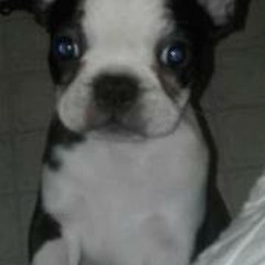 Jaclyn Patricia Webb