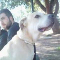 Konstantinos Dimitrelos