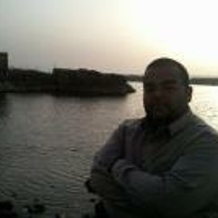 Mohamed Mashaly