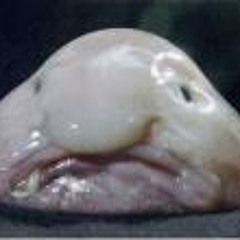 Darren Itchybak Parker