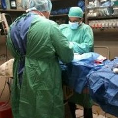 dr zema