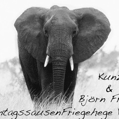 Sonntagssausen Freigehege