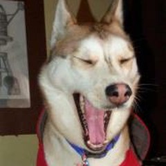 Jerry-Davina Angellfriend