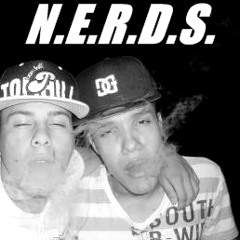N.E.R.D.S Oficial
