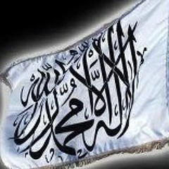 الشيخ سيف الدين الرايس